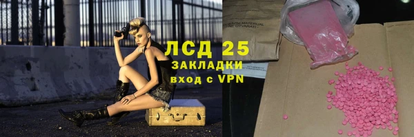 сатива Беломорск