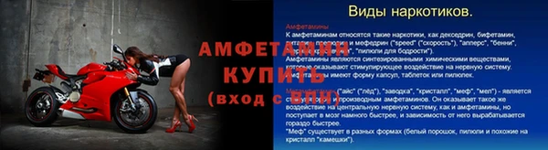 сатива Беломорск