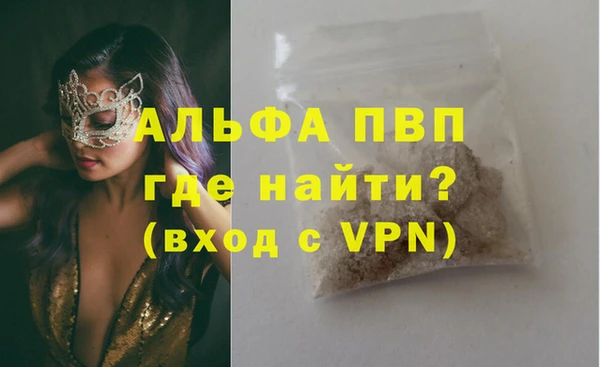 сатива Беломорск