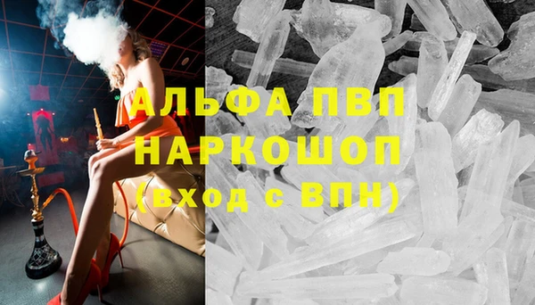 сатива Беломорск