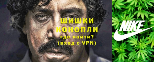 сатива Беломорск