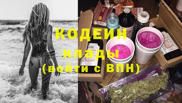 сатива Беломорск