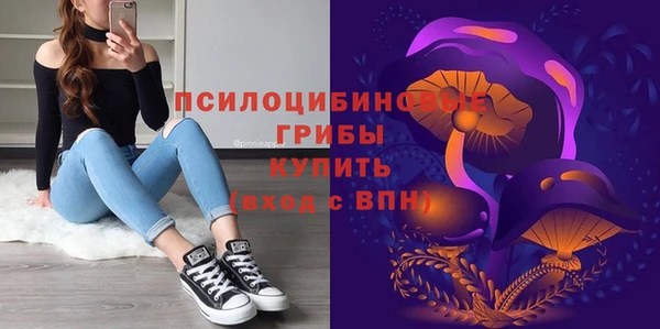сатива Беломорск
